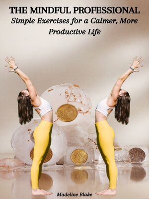 cover image of THE MINDFUL PROFESSIONAL